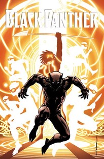 Cover of Black Panther vol 2